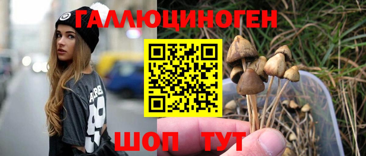 Галлюциногенные грибы мицелий Красноуфимск